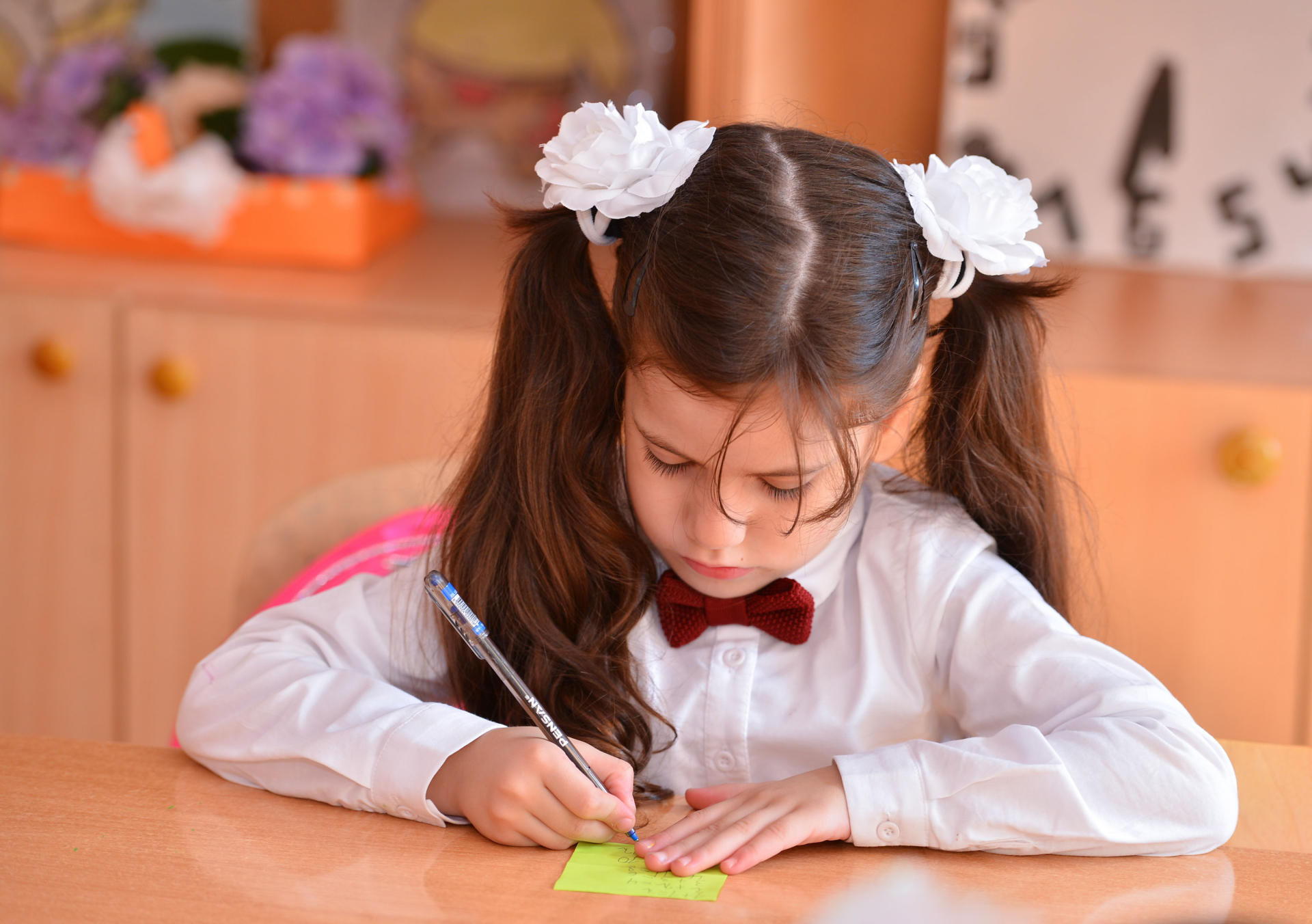 Azərbaycanda birinci siniflərə şagird qəbulu başlayır